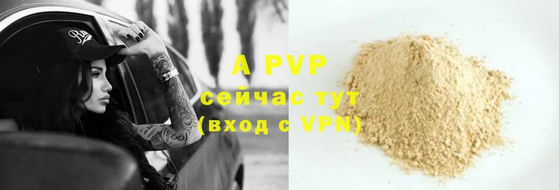 A-PVP СК КРИС  Кириши 